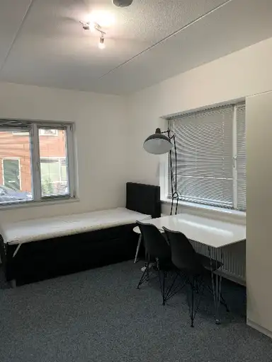 16μ² Δωμάτιο προς ενοικίαση για 600€/μήνα σε Palmstraat, Nijmegen
