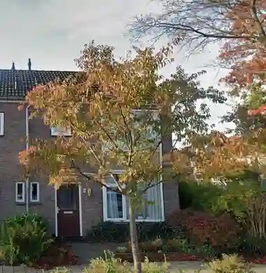 49m2 house to rent for 704.8€/month in Professor Debijelaan 6, Voorschoten