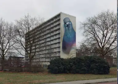 25m2 apartment to rent for 516.54€/month in Bongerd 20, Goes