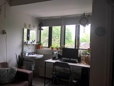 16.8m2 Kamer te huur voor 600€/maand in Johan de Wittlaan, Arnhem