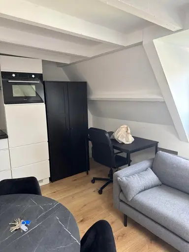 27m2 studio à louer pour 1102.71€/mois à Regentesseplein 226, The Hague