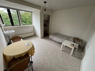 17m2 Kamer te huur voor 650€/maand in Johan de Wittlaan 23, Arnhem