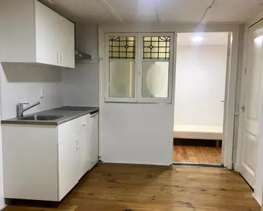 38m2 studio à louer pour 910€/mois à Pels Rijckenstraat, Arnhem