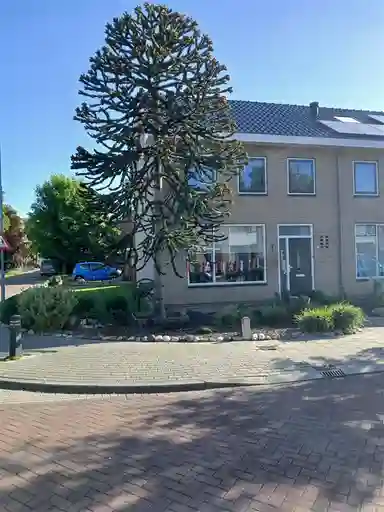 95m2 house to rent for 939.78€/month in Luttekenstraat 11, Elburg