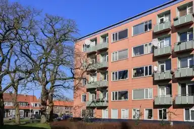 49m2 flat te huur voor 1005€/maand in Ligusterstraat 33, Nijmegen