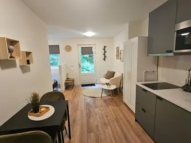30m2 studio te huur voor 1650€/maand in Hondsrug, Utrecht