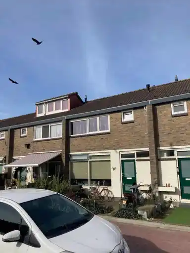 69m2 Haus zur Miete für 713.02€/Monat in Roodborststraat 8, Wormerveer