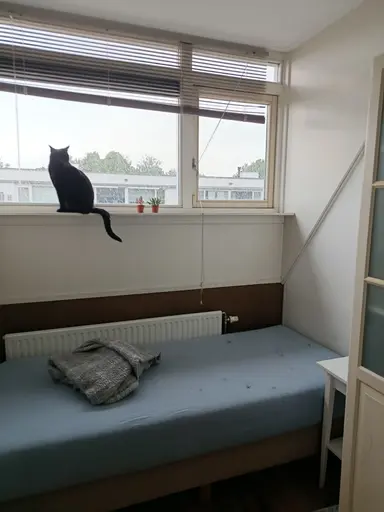 200m2 Kamer te huur voor 550€/maand in Valkenswaardstraat, Tilburg