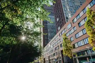 93m2 Appartamento in affitto per 1710€/mese a Carolina van Nassaustraat 45, The Hague