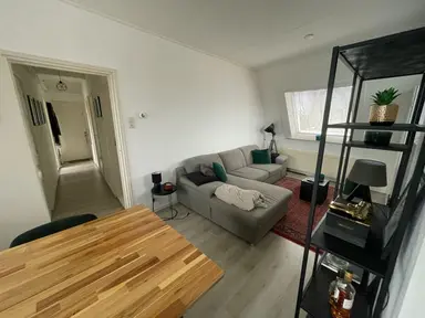 45m2 Appartement à louer pour 1450€/mois à Damstraat, Roosendaal