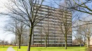 32m2 Wohnung zur Miete für 800€/Monat in Roggekamp, The Hague