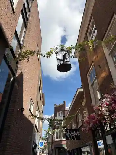 79m2 apartment to rent for 1350€/month in Papegaaistraat, Goes