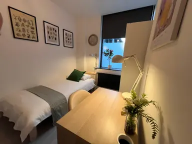 10m2 Chambre à louer pour 850€/mois à Oude Langstraat, Tilburg