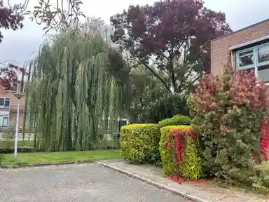 12m2 anti-squat to rent for 300€/month in Huizen