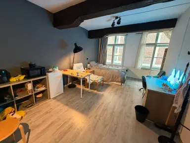 17m2 Zimmer zur Miete für 715€/Monat in Achter het Vleeshuis 17, Maastricht
