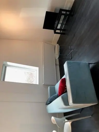 37m2 monolocale in affitto per 1410€/mese a Lupinestraat, Eindhoven