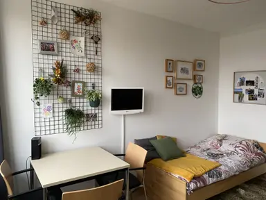 20m2 studio à louer pour 566.66€/mois à Bronland 4-605, Wageningen