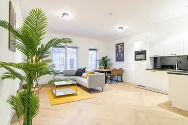 56m2 apartment to rent for 1500€/month in Hoefstraat, Tilburg
