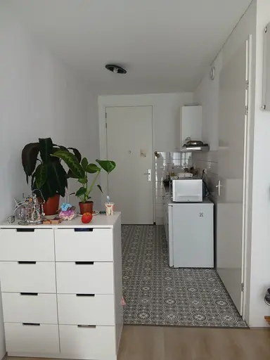 26m2 studio te huur voor 644.58€/maand in Omegaplantsoen 406, Leiden