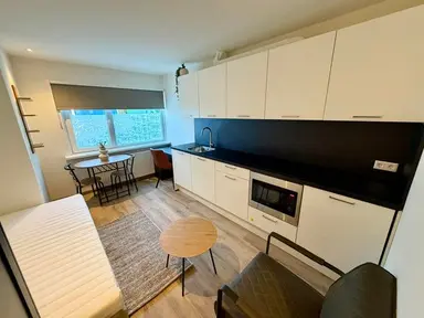 20m2 studio te huur voor 800€/maand in Paulus Moreelsestraat, Enschede