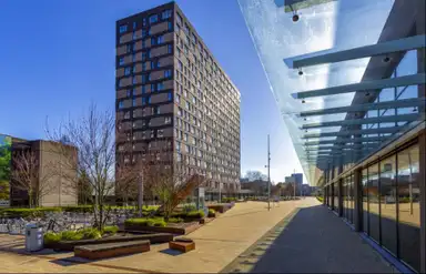 m2 Chambre à louer pour 806€/mois à Burgemeester Oudlaan, Rotterdam