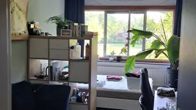16m2 room to rent for 532.63€/month in Bomenweg, Wageningen