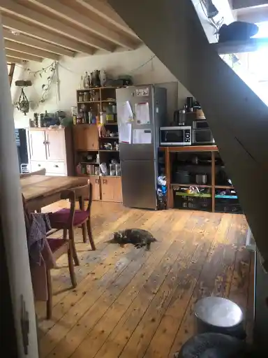 20m2 room to rent for 525€/month in Wageningen