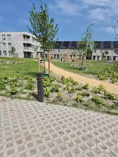 112m2 flat to rent for 980€/month in Trompstraat, Barendrecht