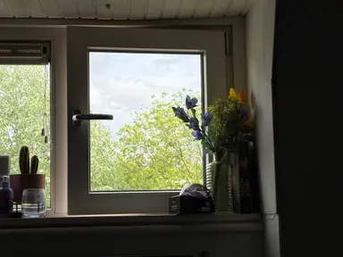 15m2 Camera in affitto per 595€/mese a Leidsevaart, Haarlem