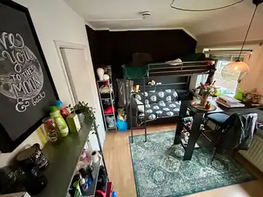 11m2 Camera in affitto per 440€/mese a Van Slingelandtstraat, Arnhem