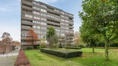50m2 Appartement te huur voor 900€/maand in Venuslaan 40, Eindhoven
