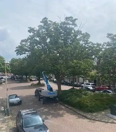 m2 Kamer te huur voor 600€/maand in Thomsonlaan, The Hague