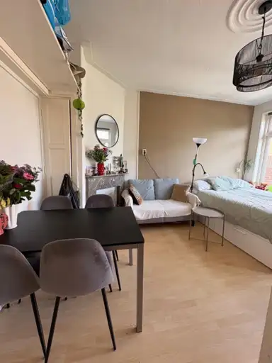 17m2 Kamer te huur voor 500€/maand in Parkweg, Groningen