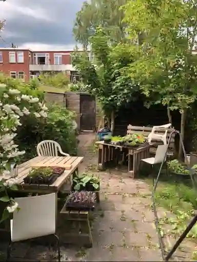 13m2 Kamer te huur voor 630€/maand in Van Hamelstraat, Groningen