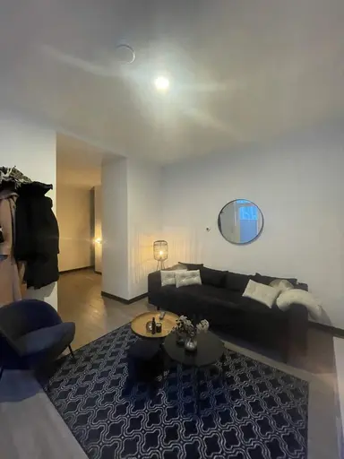 50m2 apartment to rent for 1500€/month in Damsterdiep, Groningen
