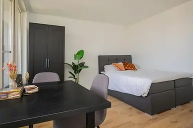 30m2 studio à louer pour 701€/mois à Dordtselaan 173C-03, Rotterdam