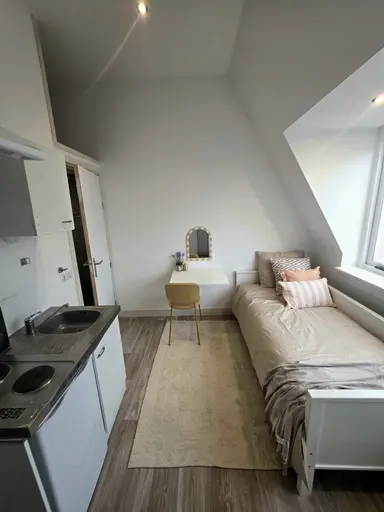 18m2 studio à louer pour 1250€/mois à Daendelsstraat, Utrecht