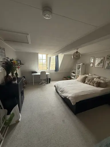 21m2 Chambre à louer pour 545€/mois à Leiden