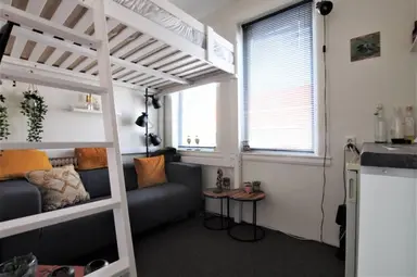 14m2 studio à louer pour 509.44€/mois à Orchideeënstraat, Eindhoven