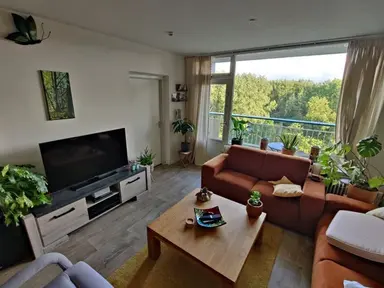 66m2 apartment to rent for 905€/month in Groningensingel, Arnhem