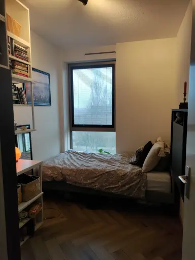 10m2 room to rent for 675€/month in Noord West Buitensingel, The Hague