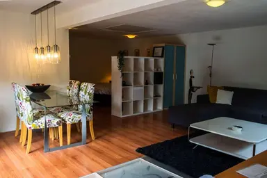 65m2 studio te huur voor 1550€/maand in Dommer van Poldersveldtweg, Nijmegen