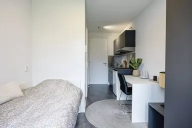 15m2 Kamer te huur voor 807€/maand in Sorbonnelaan, Maastricht