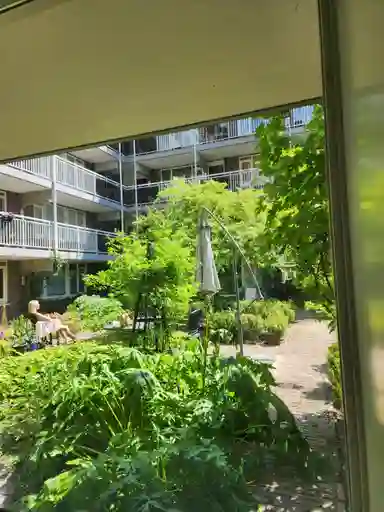 65m2 Appartement te huur voor 3000€/maand in Amstel, Amsterdam