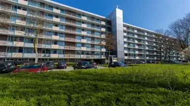 74m2 flat to rent for 910€/month in Professor Cobbenhagenlaan 24, Tilburg