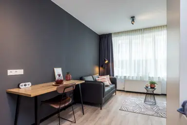 27m2 studio to rent for 974€/month in Jan de Oudeweg 454, Delft
