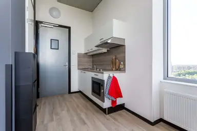 20m2 Studio zur Miete für 740€/Monat in De Lampendriessen 31-1217, Eindhoven