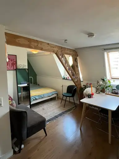 17m2 Chambre à louer pour 720€/mois à Utrecht