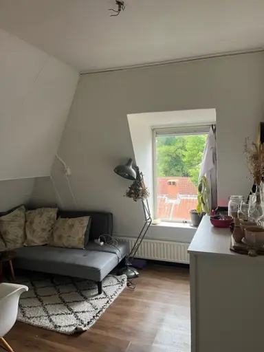 20m2 room to rent for 380€/month in Tweede Willemstraat, Groningen