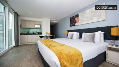 m2 studio te huur voor 4550€/maand in Bridgestraat 20, The Hague